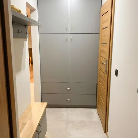 Domek alpejski U Doroty Koniaków